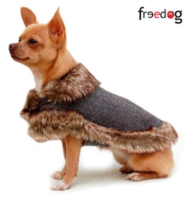 Picture of FREEDOG DAMA COAT